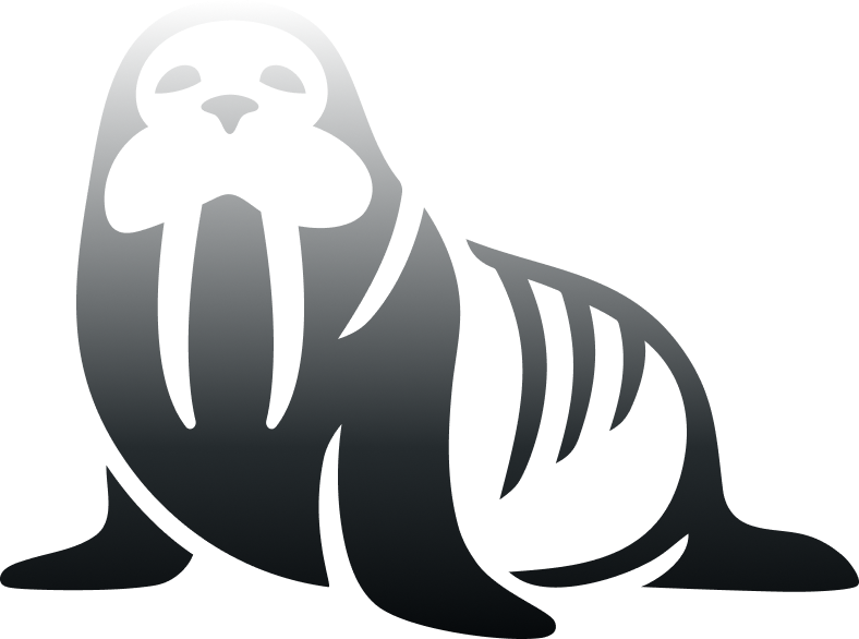 Walrus